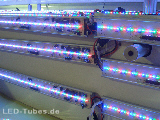 mehr Infos - LED Tubes - Service